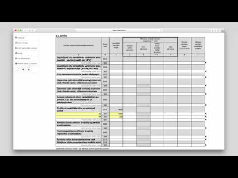 2. Ārējo aktīvu un pasīvu ceturkšņa pārskats (1-MB)